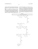 Terminally Modified Polymers and Conjugates Thereof diagram and image