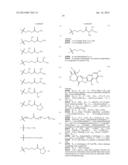 Terminally Modified Polymers and Conjugates Thereof diagram and image