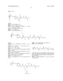 Terminally Modified Polymers and Conjugates Thereof diagram and image