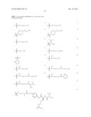 Terminally Modified Polymers and Conjugates Thereof diagram and image