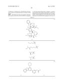 Terminally Modified Polymers and Conjugates Thereof diagram and image