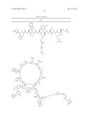 Terminally Modified Polymers and Conjugates Thereof diagram and image