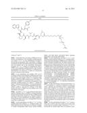 Terminally Modified Polymers and Conjugates Thereof diagram and image