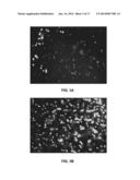 PORATED CARTILAGE PRODUCTS diagram and image