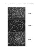 PORATED CARTILAGE PRODUCTS diagram and image