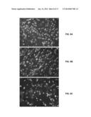 PORATED CARTILAGE PRODUCTS diagram and image