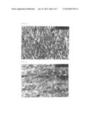 THERMOPLASTIC RESIN COMPOSITION HAVING HIGH DURABILITY diagram and image