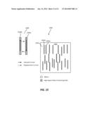 DOPED CHIRAL POLYMER METAMATERIALS diagram and image