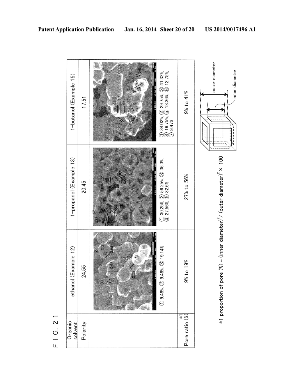 SKELETON NANOPARTICLES AND METHOD FOR MANUFACTURING THE SAME - diagram, schematic, and image 21