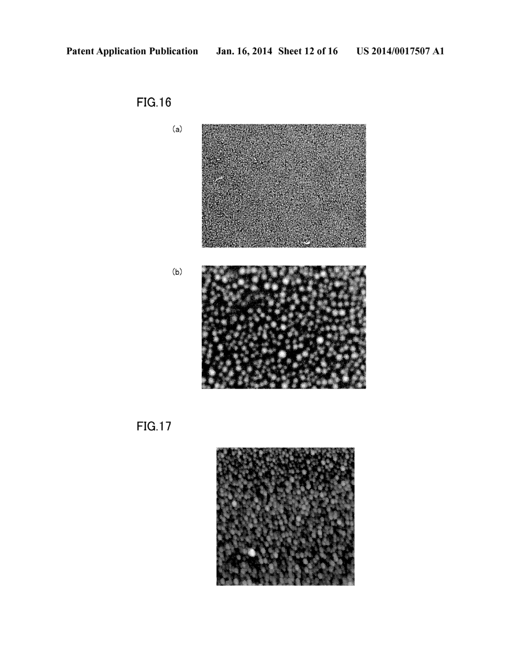 METAL-BASED PARTICLE ASSEMBLY - diagram, schematic, and image 13