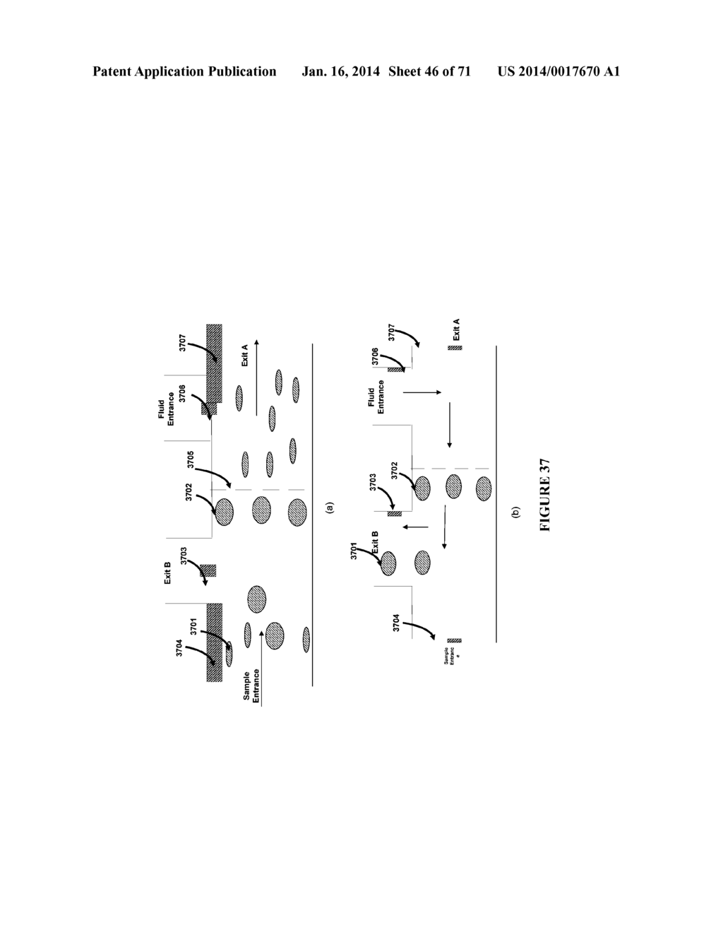 MICRO-DEVICES FOR DISEASE DETECTION - diagram, schematic, and image 47