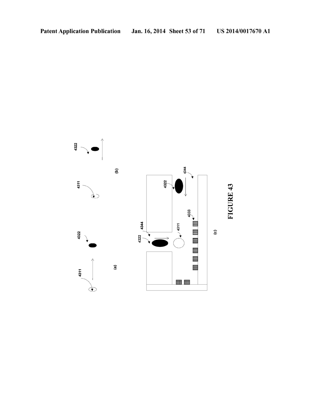 MICRO-DEVICES FOR DISEASE DETECTION - diagram, schematic, and image 54