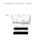 IDENTIFICATION OF SURFACE-ASSOCIATED ANTIGENS FOR TUMOR DIAGNOSIS AND     THERAPY diagram and image