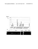 IDENTIFICATION OF SURFACE-ASSOCIATED ANTIGENS FOR TUMOR DIAGNOSIS AND     THERAPY diagram and image