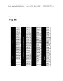 IDENTIFICATION OF SURFACE-ASSOCIATED ANTIGENS FOR TUMOR DIAGNOSIS AND     THERAPY diagram and image