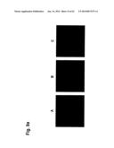 IDENTIFICATION OF SURFACE-ASSOCIATED ANTIGENS FOR TUMOR DIAGNOSIS AND     THERAPY diagram and image