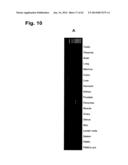 IDENTIFICATION OF SURFACE-ASSOCIATED ANTIGENS FOR TUMOR DIAGNOSIS AND     THERAPY diagram and image