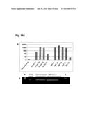 IDENTIFICATION OF SURFACE-ASSOCIATED ANTIGENS FOR TUMOR DIAGNOSIS AND     THERAPY diagram and image