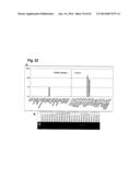 IDENTIFICATION OF SURFACE-ASSOCIATED ANTIGENS FOR TUMOR DIAGNOSIS AND     THERAPY diagram and image