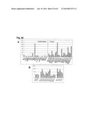 IDENTIFICATION OF SURFACE-ASSOCIATED ANTIGENS FOR TUMOR DIAGNOSIS AND     THERAPY diagram and image