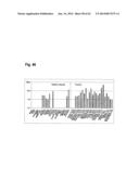 IDENTIFICATION OF SURFACE-ASSOCIATED ANTIGENS FOR TUMOR DIAGNOSIS AND     THERAPY diagram and image