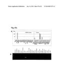 IDENTIFICATION OF SURFACE-ASSOCIATED ANTIGENS FOR TUMOR DIAGNOSIS AND     THERAPY diagram and image