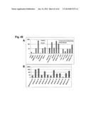 IDENTIFICATION OF SURFACE-ASSOCIATED ANTIGENS FOR TUMOR DIAGNOSIS AND     THERAPY diagram and image