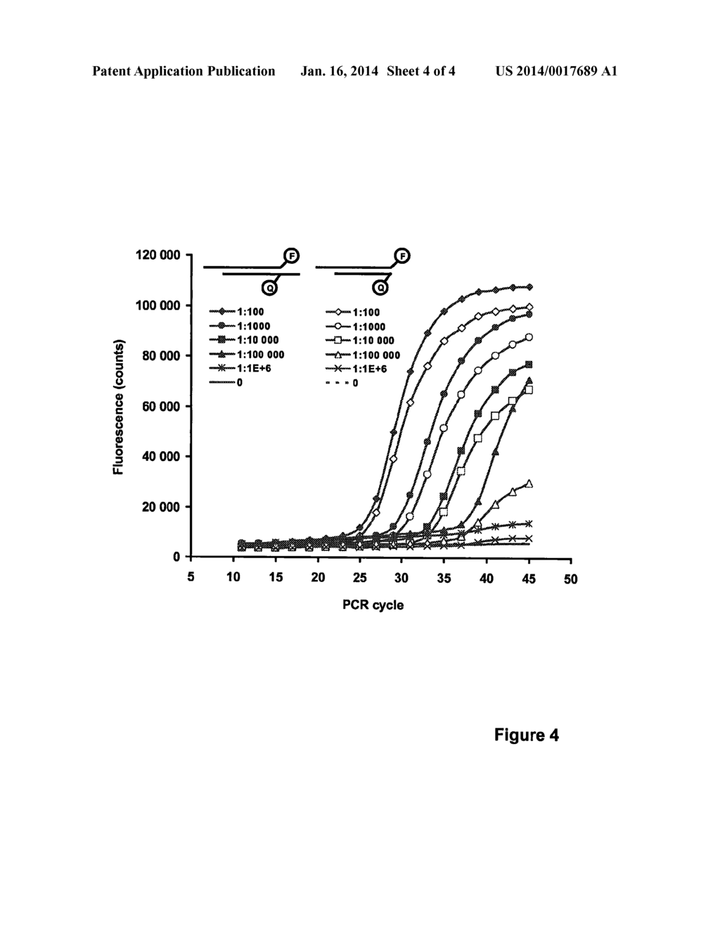 METHOD FOR DETECTING NUCLEIC ACIDS - diagram, schematic, and image 05