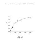 Measuring Subcellular Concentrations in Vivo diagram and image