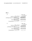 CHIMERIC PDK1 KINASES diagram and image