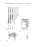 CHIMERIC PDK1 KINASES diagram and image