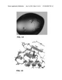 CHIMERIC PDK1 KINASES diagram and image