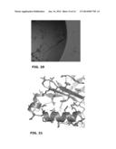 CHIMERIC PDK1 KINASES diagram and image