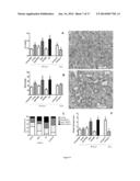 BIOMARKERS FOR ACUTE KIDNEY INJURY diagram and image