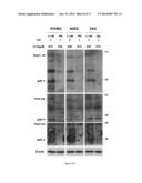 BIOMARKERS FOR ACUTE KIDNEY INJURY diagram and image