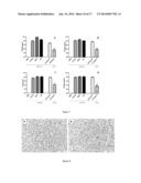 BIOMARKERS FOR ACUTE KIDNEY INJURY diagram and image