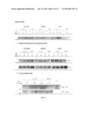 BIOMARKERS FOR ACUTE KIDNEY INJURY diagram and image