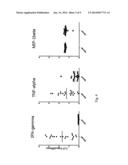 METHOD OF DIAGNOSING CANCER AND DIAGNOSIS KIT USING MEASUREMENT OF NK CELL     ACTIVITY diagram and image