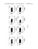 METHOD OF DIAGNOSING CANCER AND DIAGNOSIS KIT USING MEASUREMENT OF NK CELL     ACTIVITY diagram and image