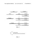 REDUCING ADAPTER DIMER FORMATION diagram and image