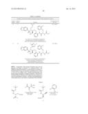 SULFONAMIDES AS HIB PROTEASE INHIBITORS diagram and image