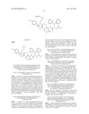 SULFONAMIDES AS HIB PROTEASE INHIBITORS diagram and image