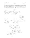 SULFONAMIDES AS HIB PROTEASE INHIBITORS diagram and image
