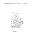 METHODS AND ASSAYS FOR TREATING FILOVIRIDAE INFECTIONS diagram and image