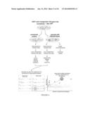 METHODS AND ASSAYS FOR TREATING FILOVIRIDAE INFECTIONS diagram and image