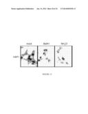 METHODS AND ASSAYS FOR TREATING FILOVIRIDAE INFECTIONS diagram and image