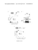 METHODS AND ASSAYS FOR TREATING FILOVIRIDAE INFECTIONS diagram and image