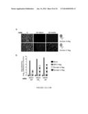 METHODS AND ASSAYS FOR TREATING FILOVIRIDAE INFECTIONS diagram and image