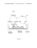 METHODS AND ASSAYS FOR TREATING FILOVIRIDAE INFECTIONS diagram and image