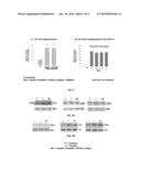 Insulin Mimetic Active Comprising Oxodiperoxo Vanadates and a     Pharmaceutical Composition Obtained Thereof diagram and image